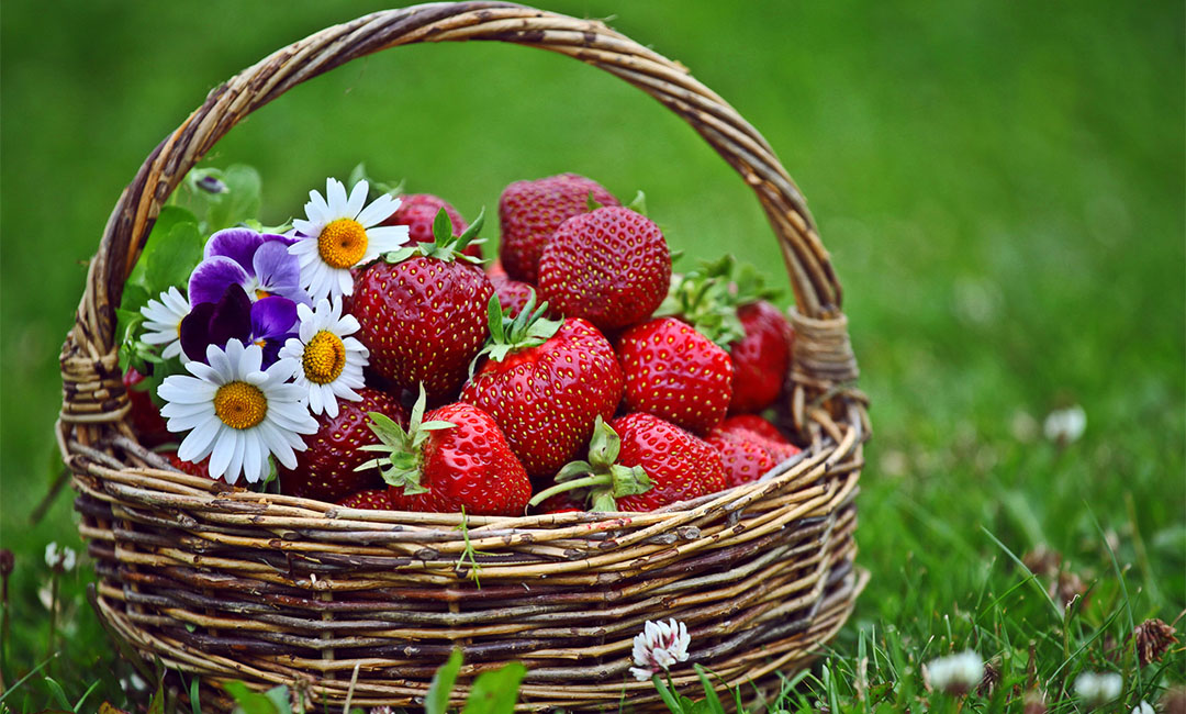 张家港点呀点水果电商APP开发案例